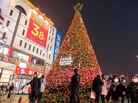 what are the christmas trees in china called